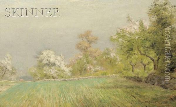 Spring Landscape Oil Painting - Albert B. Insley