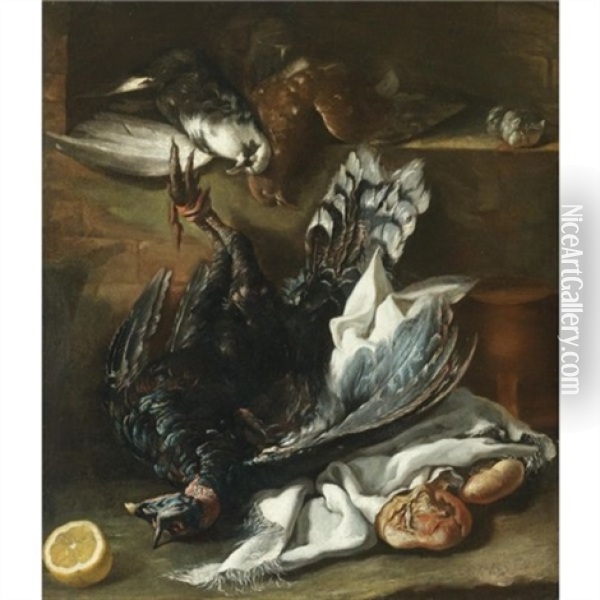 A Still Life With A Turkey, Two Doves And A Lemon Together With Some Onions And Garlic Oil Painting - Giacomo Ceruti