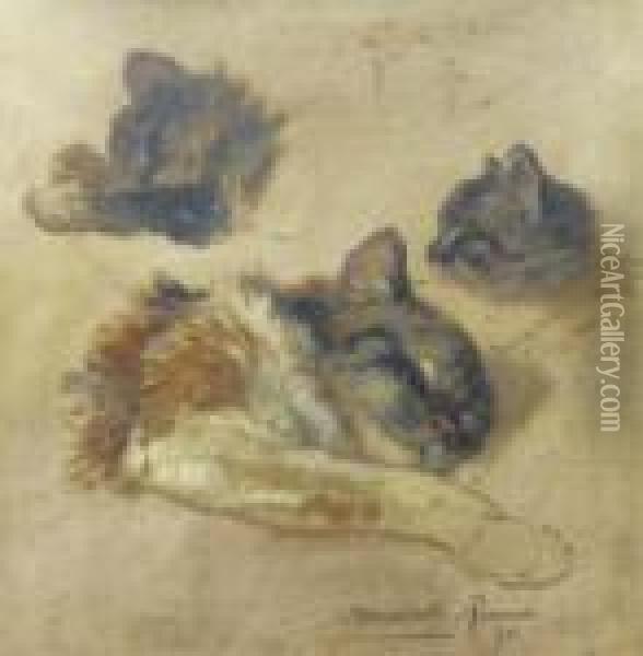 Sleeping Kittens - A Study Oil Painting - Henriette Ronner-Knip