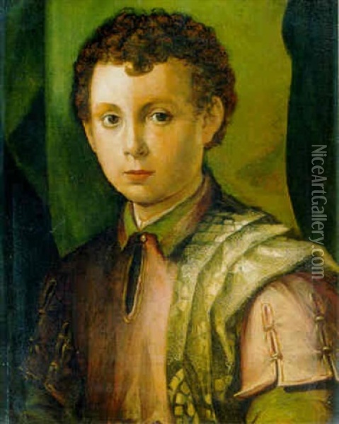 Portrait Of A Young Boy Oil Painting -  Bronzino