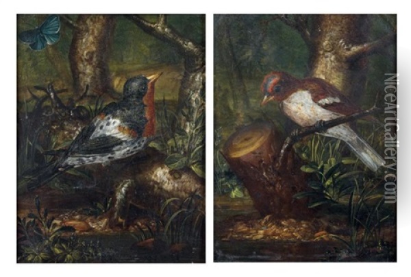 Pinson Des Arbres (+ Roitelet Dans Des Paysages; Pair) Oil Painting - Johann Adalbert Angermayer
