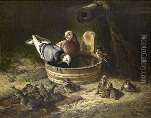 Tauben Und Spatzen An Der Tranke Oil Painting - Siegwald Johannes Dahl