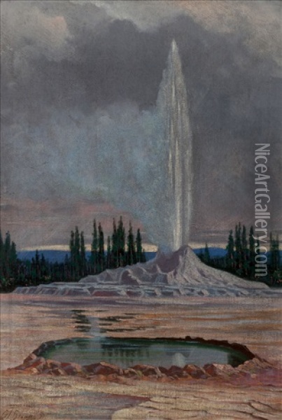 Castle Geyser, Yellowstone National Park Oil Painting - Grafton Tyler Brown