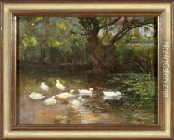 Acht Enten Am Weiher Oil Painting - Franz Grassel