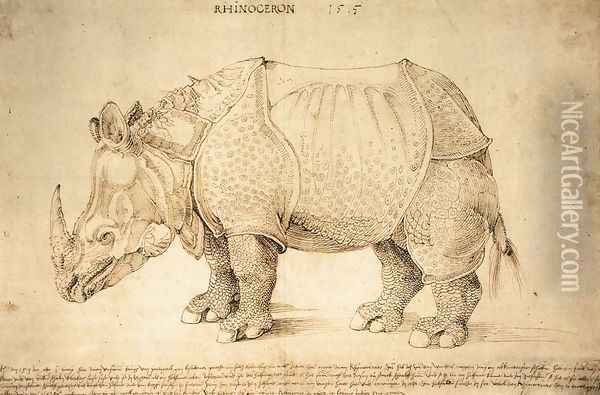 Rhinoceros 2 Oil Painting - Albrecht Durer