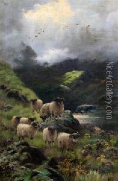 Sheep On A Hillside Oil Painting - Sidney Pike