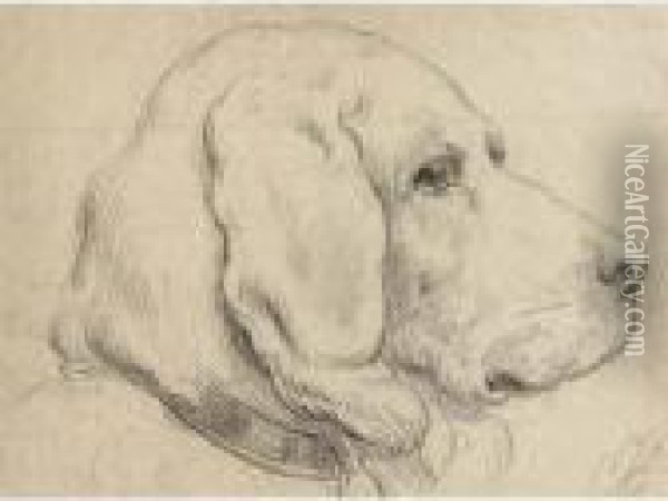 Study Of A Dog Oil Painting - Otto Eerelman