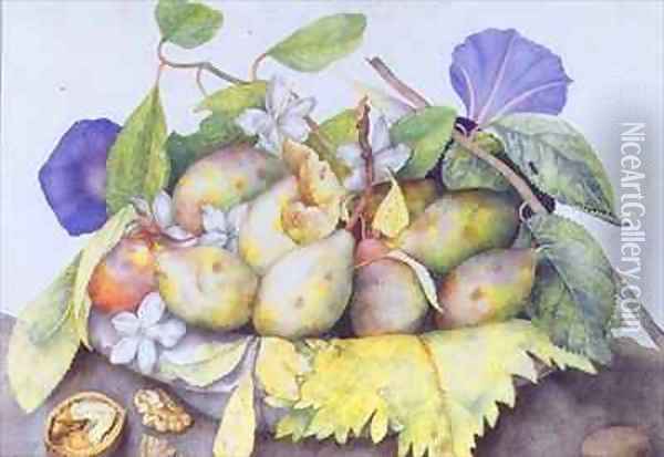 Still life with Plums Walnuts and Jasmine Oil Painting - Giovanna Garzoni