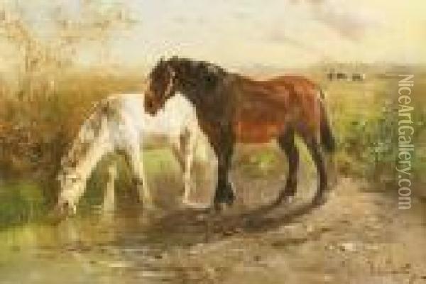 Two Horses At The Watering Place. Oil Painting - Henry Schouten