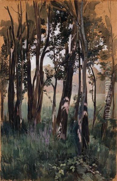 Sous-bois, Vor 1900 Oil Painting - Ernest Bieler
