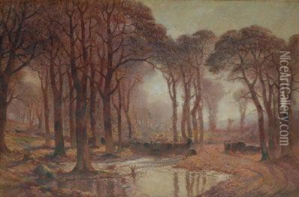 Sunlit Woodland Pond. Oil Painting - Garstin Cox