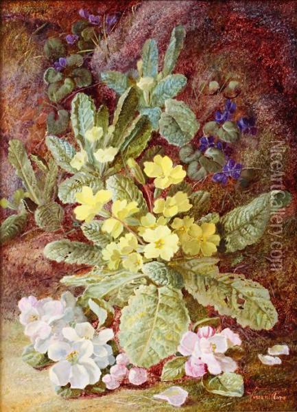 Primroses, Violets And Apple Blossom On A Mossy Bank Oil Painting - Vincent Clare