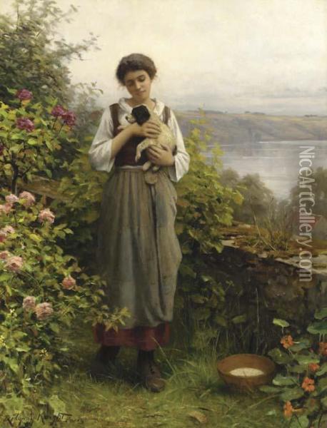 A Young Girl Holding A Puppy Oil Painting - Daniel Ridgway Knight