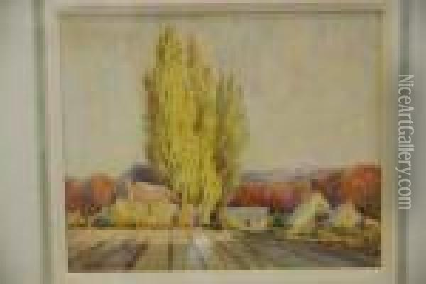 Picadilly Valley South Australia Watercoloursigned George Whinnen Oil Painting - George Whinnen