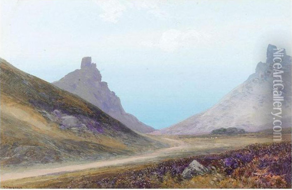 The Valley Of The Rocks, Lynton; Rolling Landscape With Heather Oil Painting - Frederick John Widgery