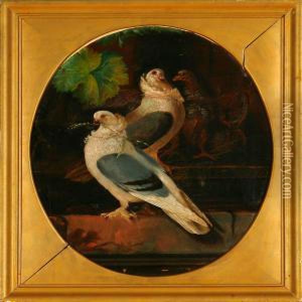 A Pair Of Pigeons Ona Still Oil Painting - Christian Andreas Schleisner