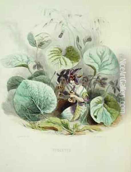 The Violet from Fleurs Animees Oil Painting - J. J. Grandville