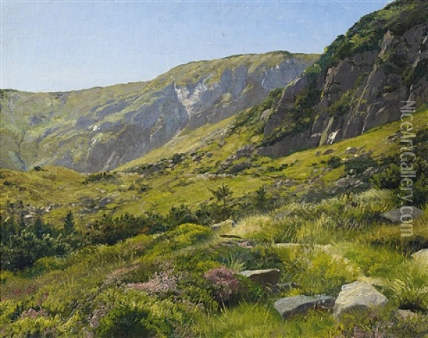 Im Riesengebirge Oil Painting - Carl Zimmermann