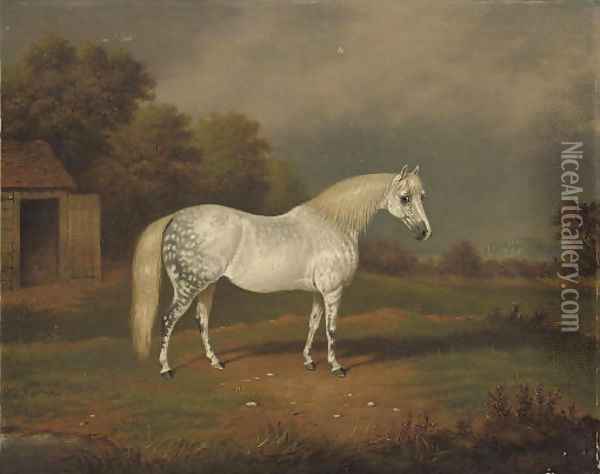 Skewbald horse Oil Painting - William Eddowes Turner