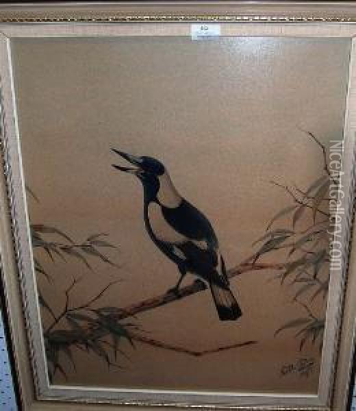 Magpie Oil Painting - Neville Henry P. Cayley