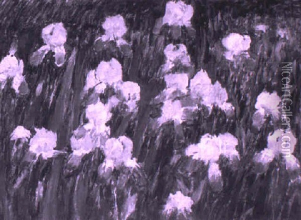 Irises Oil Painting - Antonin Hudecek