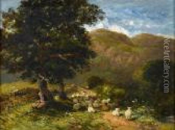 The Old Holyhead Road, Sheep Beneath Atree Oil Painting - David I Cox