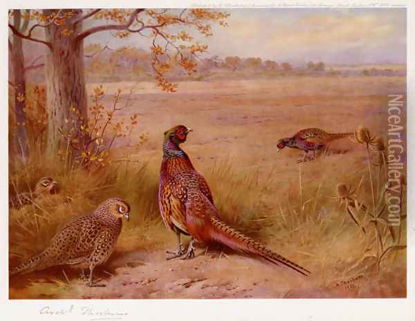 The Old and the New Oil Painting - Archibald Thorburn