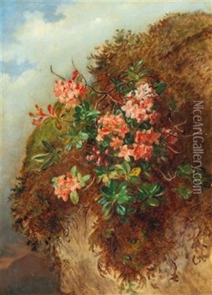Alpine Rose On A Mountain Slope Oil Painting - Andreas Lach