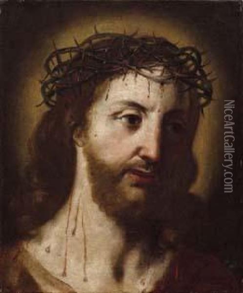 Testa Di Cristo Coronato Di Spine Oil Painting - Francesco Stringa