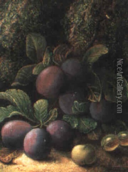 Plums, Gooseberries And A Greengage Oil Painting - Oliver Clare