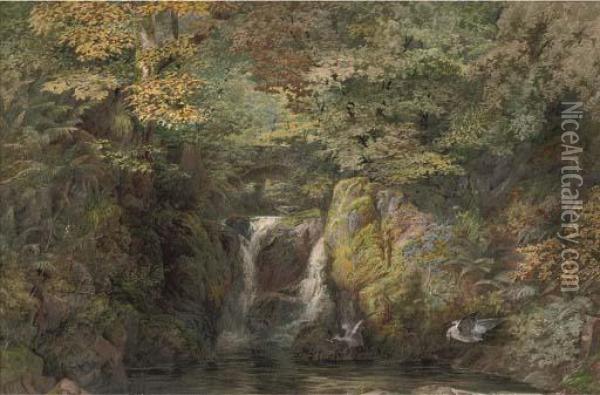 Rydal Fall, Westmoreland Oil Painting - Arthur Croft