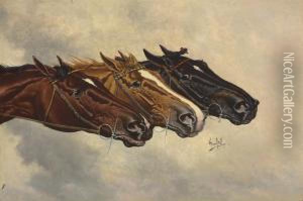 Head Studies Of Three Racehorses: Henry Of Navarre, Monitor Anddomino Oil Painting - Henry Stull