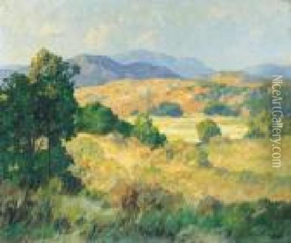 Hillside And Valley Oil Painting - Maurice Braun