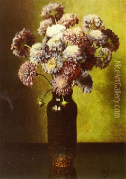 A Still Life With Scabiosa In A Vase Oil Painting - Bernardus Arps