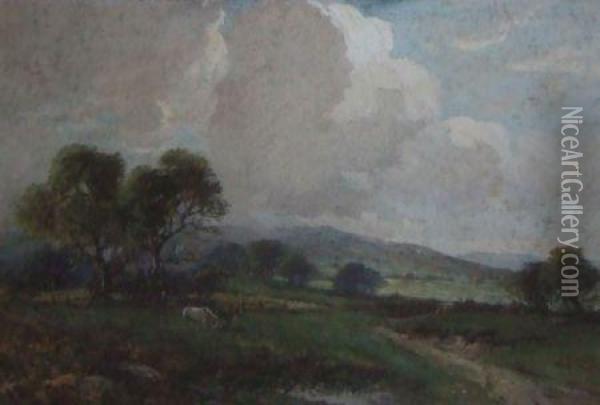 Horses Grazing In A Field Oil Painting - William Ashton