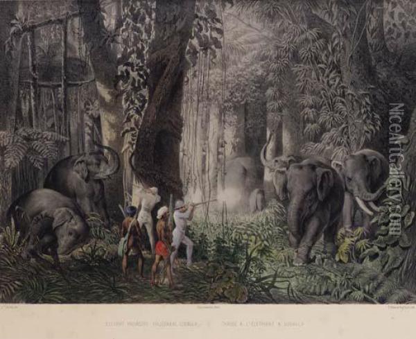 Reise ... In Ostindien, Ceylon, Java, China Und Bengalen. Pest:hermann Geibel, 1859. Oil Painting - Graf Emanuel Andrasy
