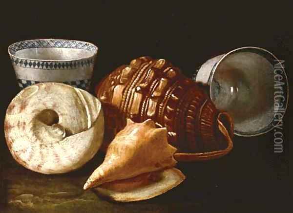 Three shells and two ceramic bowls Oil Painting - Cristoforo Munari