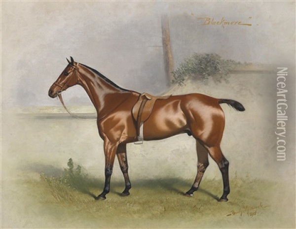 Blackmore, Sportpferd Oil Painting - Basil Nightingale