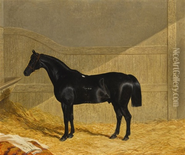 Black Horse In A Stable Oil Painting - John Frederick Herring the Elder