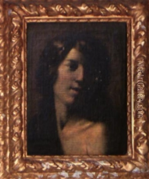 Portrait De Jeune Femme Oil Painting - Francesco Guarino