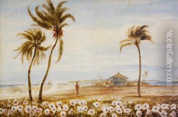 Ceylon Oil Painting - Andrew Nicholl