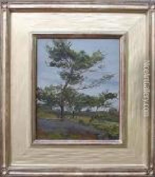 A Lone Pine Oil Painting - Mary Cable Butler