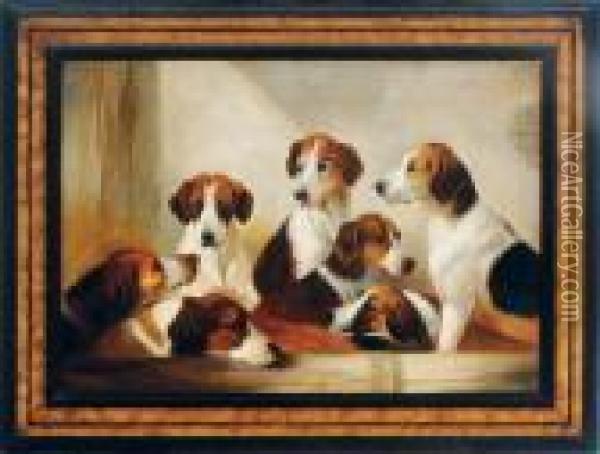 Hounds In A Barn Oil Painting - John Emms