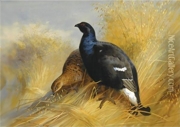 Blackgame On Corn Stooks Oil Painting - Archibald Thorburn