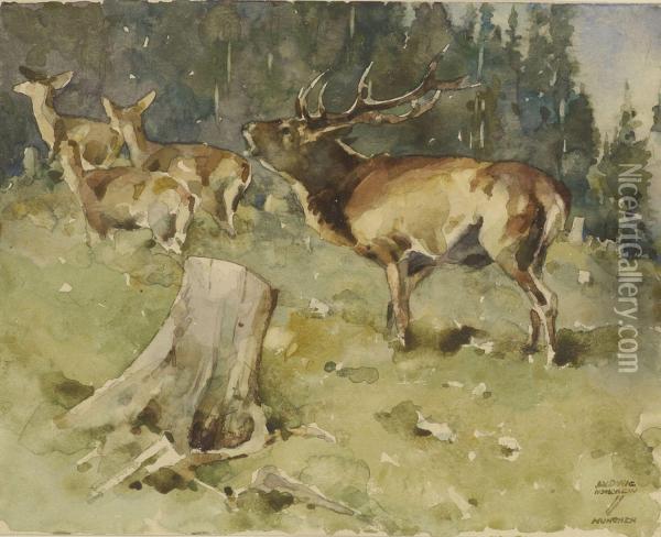 Rohrender Hirsch In Waldlichtung Oil Painting - Ludwig Hohlwein