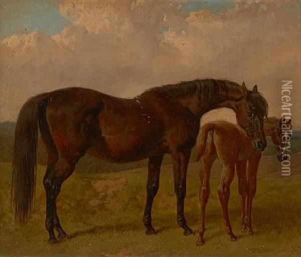 Mare And Foal In A Landscape Oil Painting - John Frederick Herring Snr