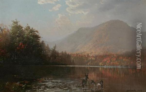 Deer In Mouintain Lake Oil Painting - George Herbert McCord