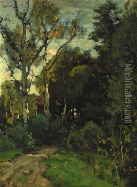 A Sunlit Birch Forest Oil Painting - Theophile De Bock