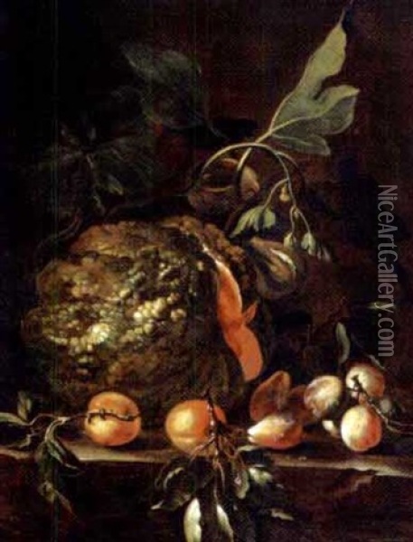 Natura Morta Di Frutta Con Zucca, Albicocche E Fichi Oil Painting - Bartolomeo Castelli the Younger