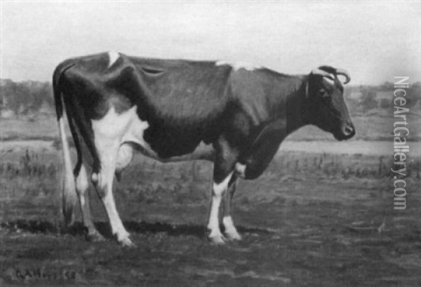 Portrait Of A Cow Oil Painting - George Arthur Hays